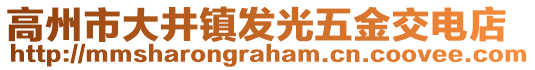 高州市大井鎮發光五金交電店