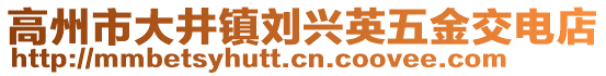 高州市大井鎮(zhèn)劉興英五金交電店