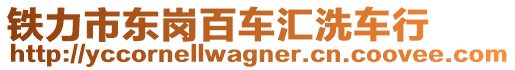 鐵力市東崗百車匯洗車行