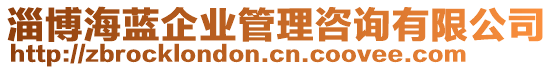 淄博海藍(lán)企業(yè)管理咨詢有限公司