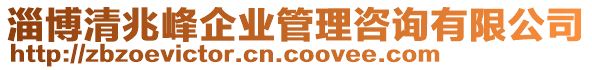 淄博清兆峰企业管理咨询有限公司