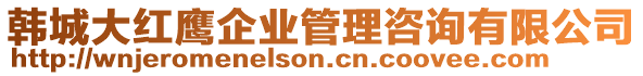 韓城大紅鷹企業(yè)管理咨詢有限公司