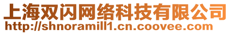 上海雙閃網絡科技有限公司