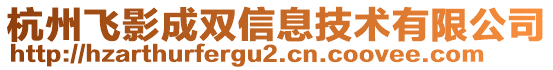 杭州飛影成雙信息技術(shù)有限公司