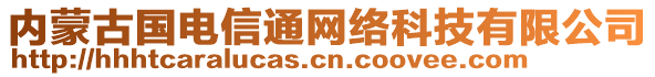 內(nèi)蒙古國(guó)電信通網(wǎng)絡(luò)科技有限公司