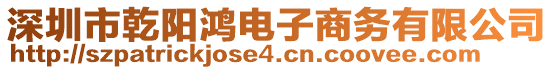 深圳市乾阳鸿电子商务有限公司