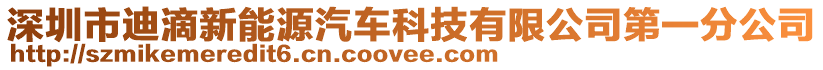 深圳市迪滴新能源汽車科技有限公司第一分公司