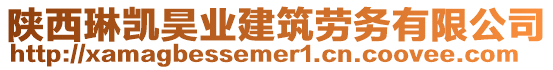 陜西琳凱昊業建筑勞務有限公司
