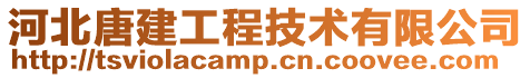 河北唐建工程技術(shù)有限公司