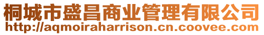 桐城市盛昌商業管理有限公司