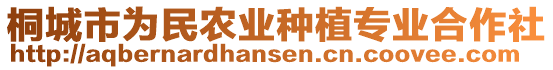 桐城市為民農(nóng)業(yè)種植專業(yè)合作社