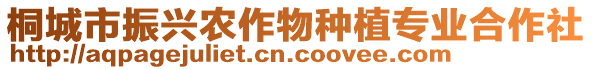 桐城市振興農(nóng)作物種植專業(yè)合作社