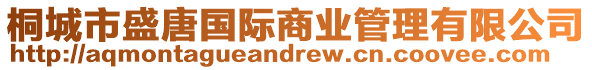 桐城市盛唐國際商業管理有限公司