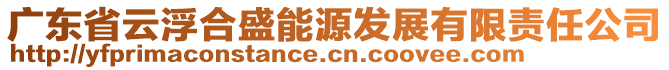 廣東省云浮合盛能源發(fā)展有限責(zé)任公司