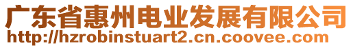 廣東省惠州電業(yè)發(fā)展有限公司
