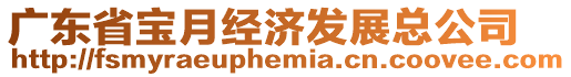 廣東省寶月經(jīng)濟發(fā)展總公司