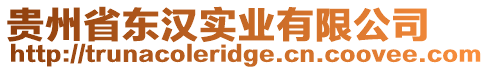 貴州省東漢實業有限公司
