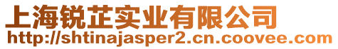 上海銳芷實(shí)業(yè)有限公司