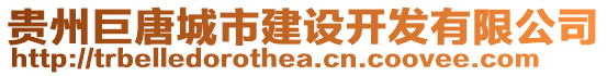 貴州巨唐城市建設(shè)開發(fā)有限公司