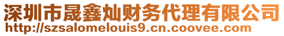 深圳市晟鑫燦財務(wù)代理有限公司