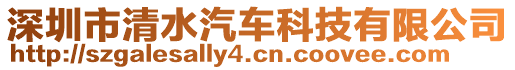 深圳市清水汽車科技有限公司