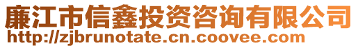 廉江市信鑫投資咨詢有限公司