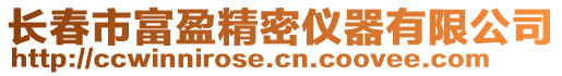 長春市富盈精密儀器有限公司