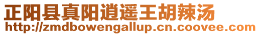 正陽縣真陽逍遙王胡辣湯