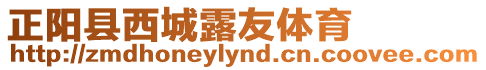 正陽(yáng)縣西城露友體育