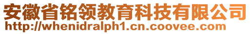 安徽省銘領(lǐng)教育科技有限公司