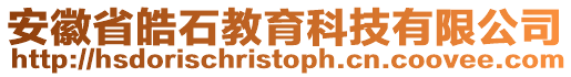 安徽省皓石教育科技有限公司
