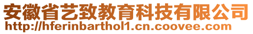 安徽省藝致教育科技有限公司