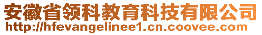 安徽省領(lǐng)科教育科技有限公司