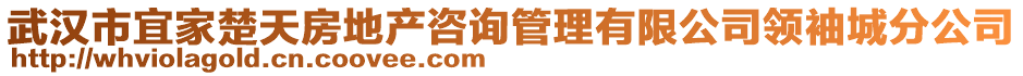 武漢市宜家楚天房地產(chǎn)咨詢管理有限公司領(lǐng)袖城分公司