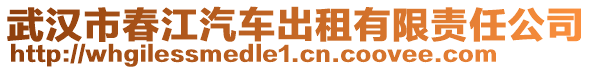 武漢市春江汽車出租有限責(zé)任公司