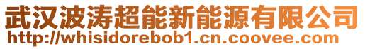 武漢波濤超能新能源有限公司