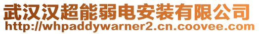 武漢漢超能弱電安裝有限公司