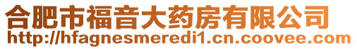 合肥市福音大藥房有限公司