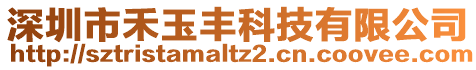 深圳市禾玉豐科技有限公司