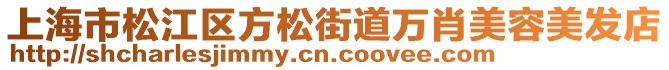 上海市松江區(qū)方松街道萬肖美容美發(fā)店