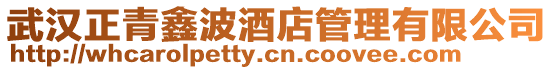 武漢正青鑫波酒店管理有限公司