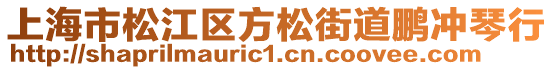 上海市松江區(qū)方松街道鵬沖琴行
