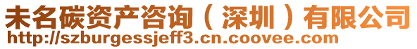 未名碳資產(chǎn)咨詢(深圳)有限公司