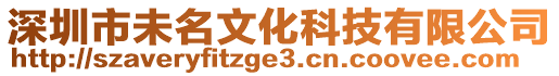 深圳市未名文化科技有限公司