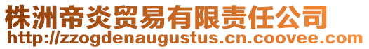 株洲帝炎貿(mào)易有限責(zé)任公司