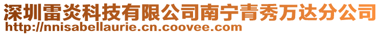 深圳雷炎科技有限公司南寧青秀萬達分公司