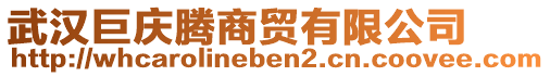 武漢巨慶騰商貿(mào)有限公司