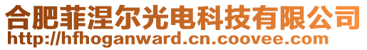 合肥菲涅爾光電科技有限公司