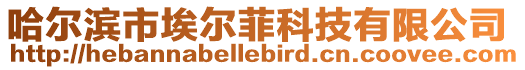 哈爾濱市埃爾菲科技有限公司