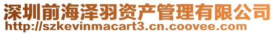 深圳前海澤羽資產(chǎn)管理有限公司